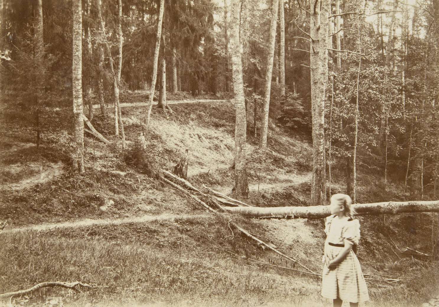 Неизвестный автор. 
 Загородный пейзаж 1900-1910-е гг. 