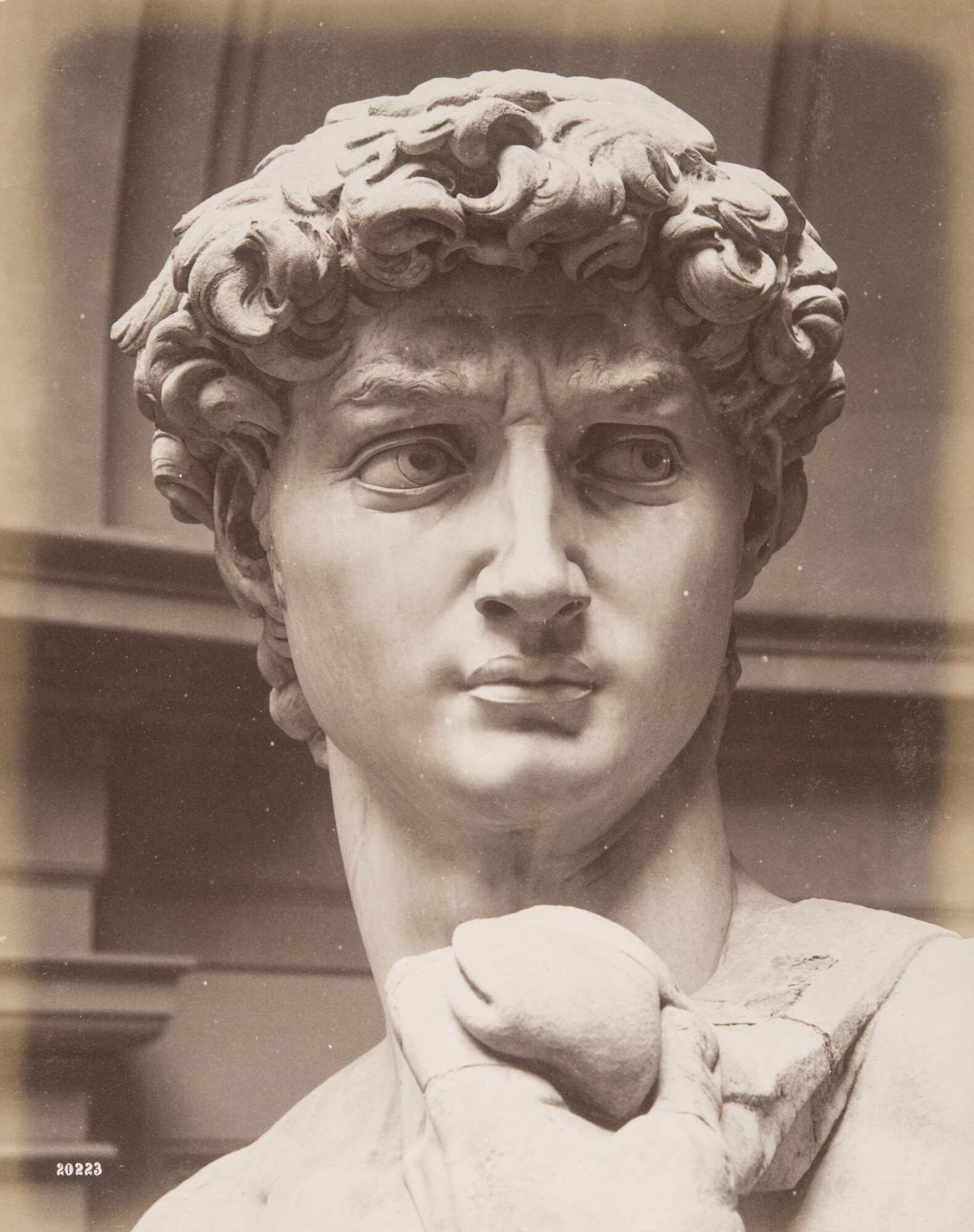 Алинари. 
 

Микеланджело «Давид», 1860‑е 

Альбуминовый отпечаток 