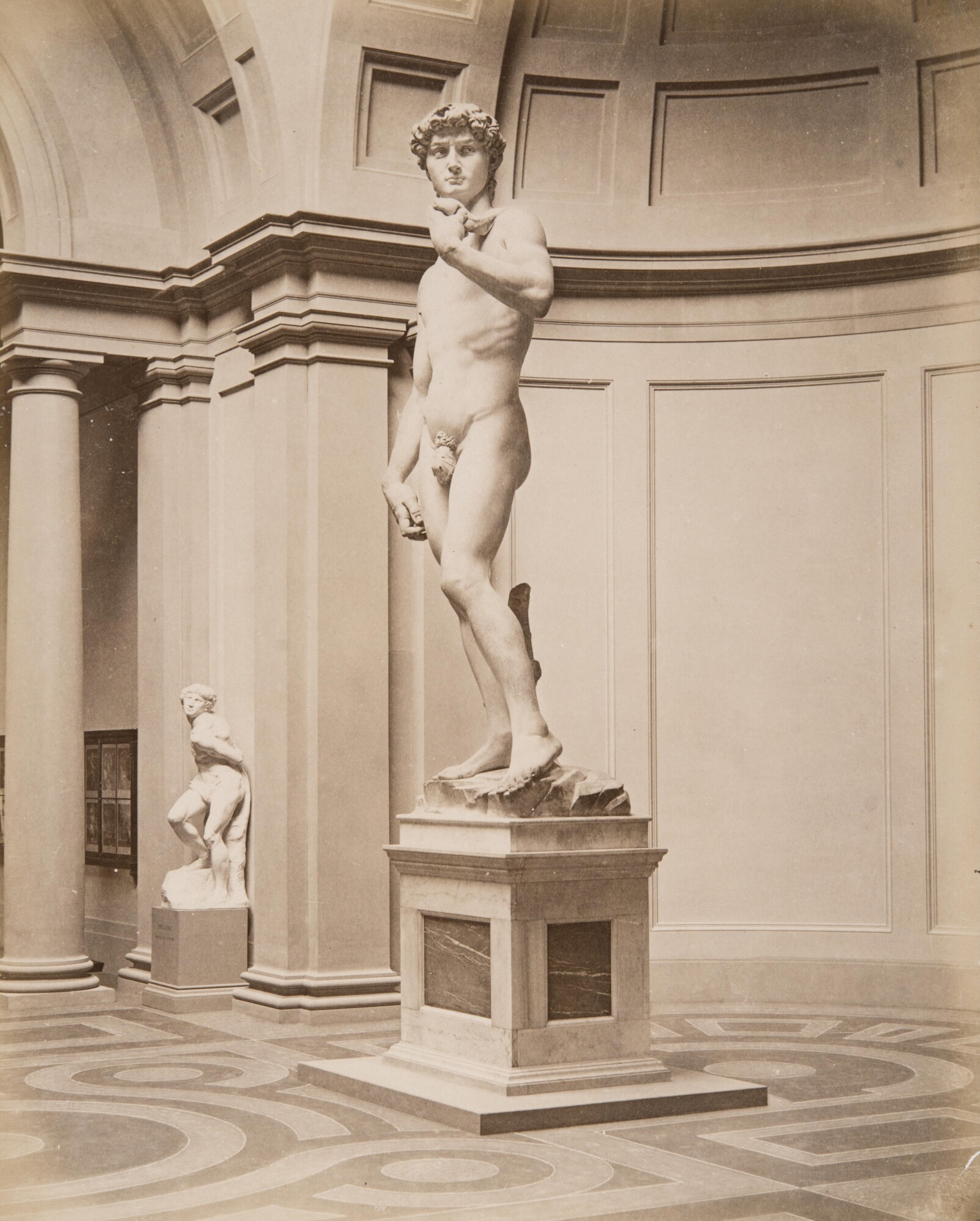 Алинари. 
 

Микеланджело, статуя «Давид». Галереи Академии изящных искусств, 1860‑е 

Альбуминовый отпечаток 