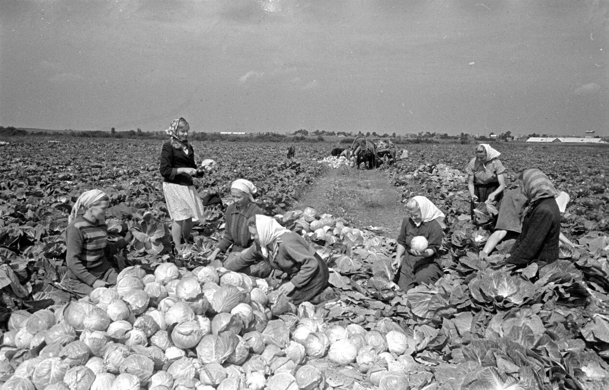 Галерея петербургской фотографии Репортаж