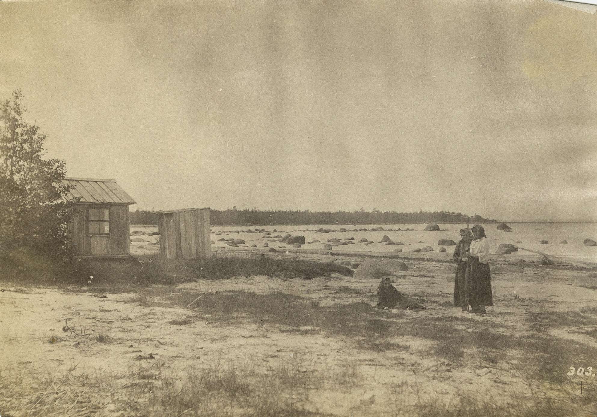 Вильям Каррик. 
 

Пейзаж с тремя крестьянками на побережье Финского залива 

Санкт-Петербургская губерния, до 1878 