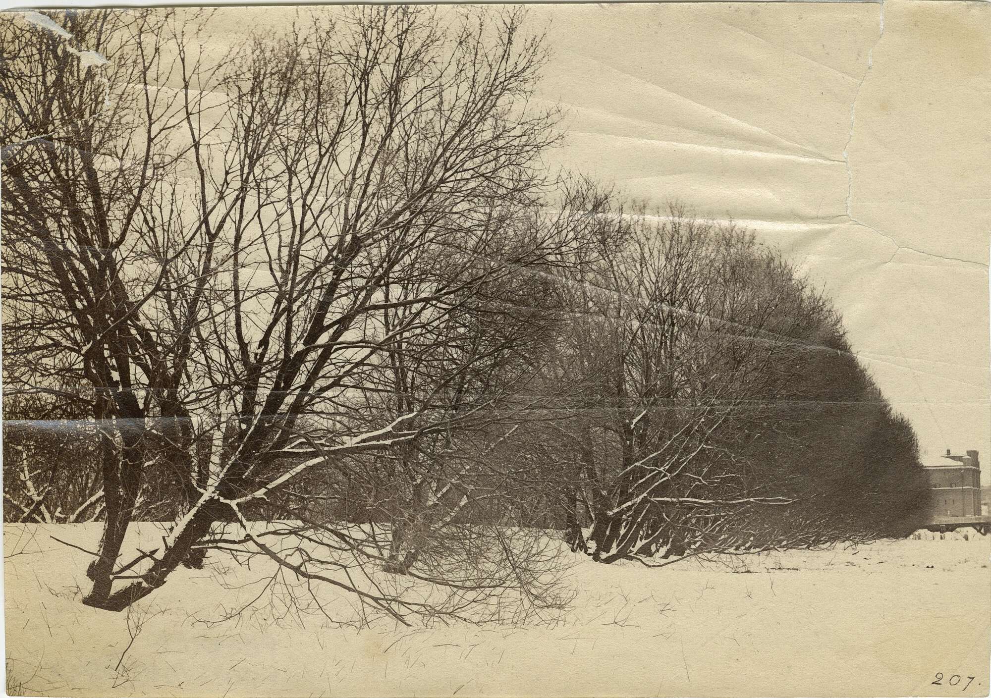 Вильям Каррик. 
 

Зимний пейзаж 

Санкт-Петербург, 1860–1870‑е 