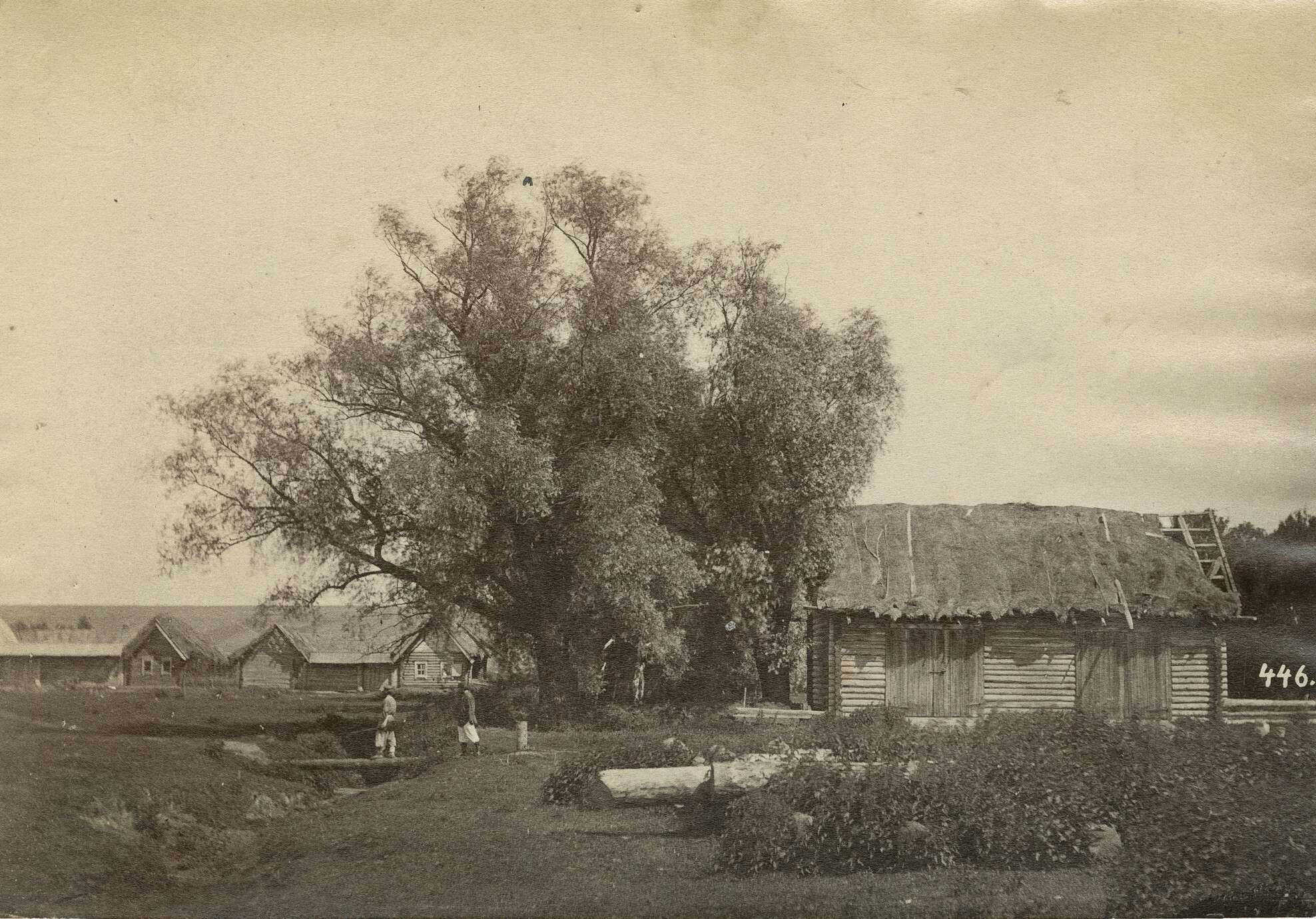 Вильям Каррик. 
 

Сельский пейзаж 

Россия, 1860–1870‑е 