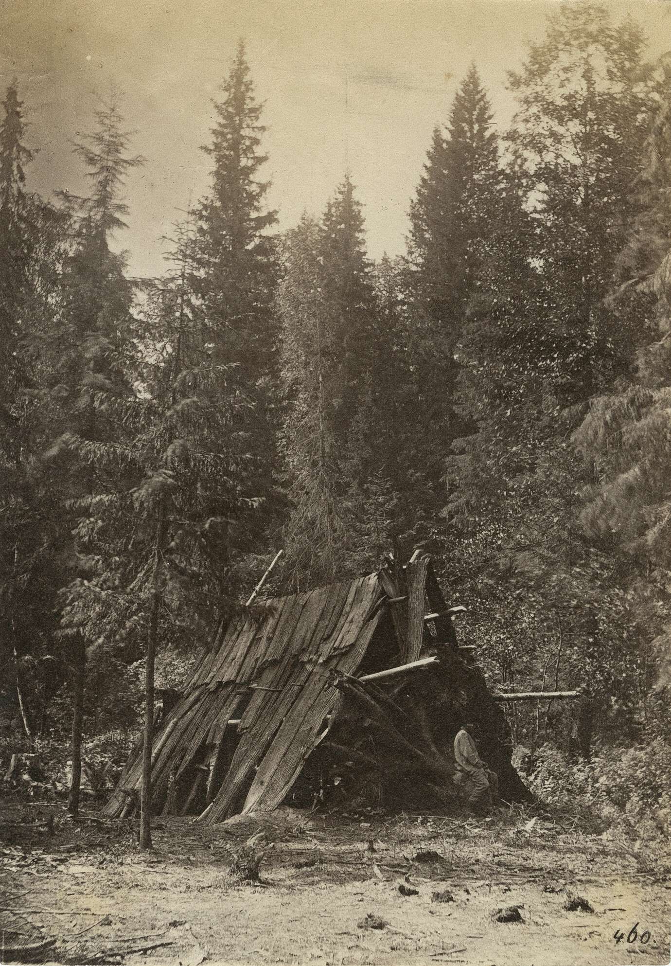 Вильям Каррик. 
 

Лесные шалаши 

Россия, 1860–1870‑е 