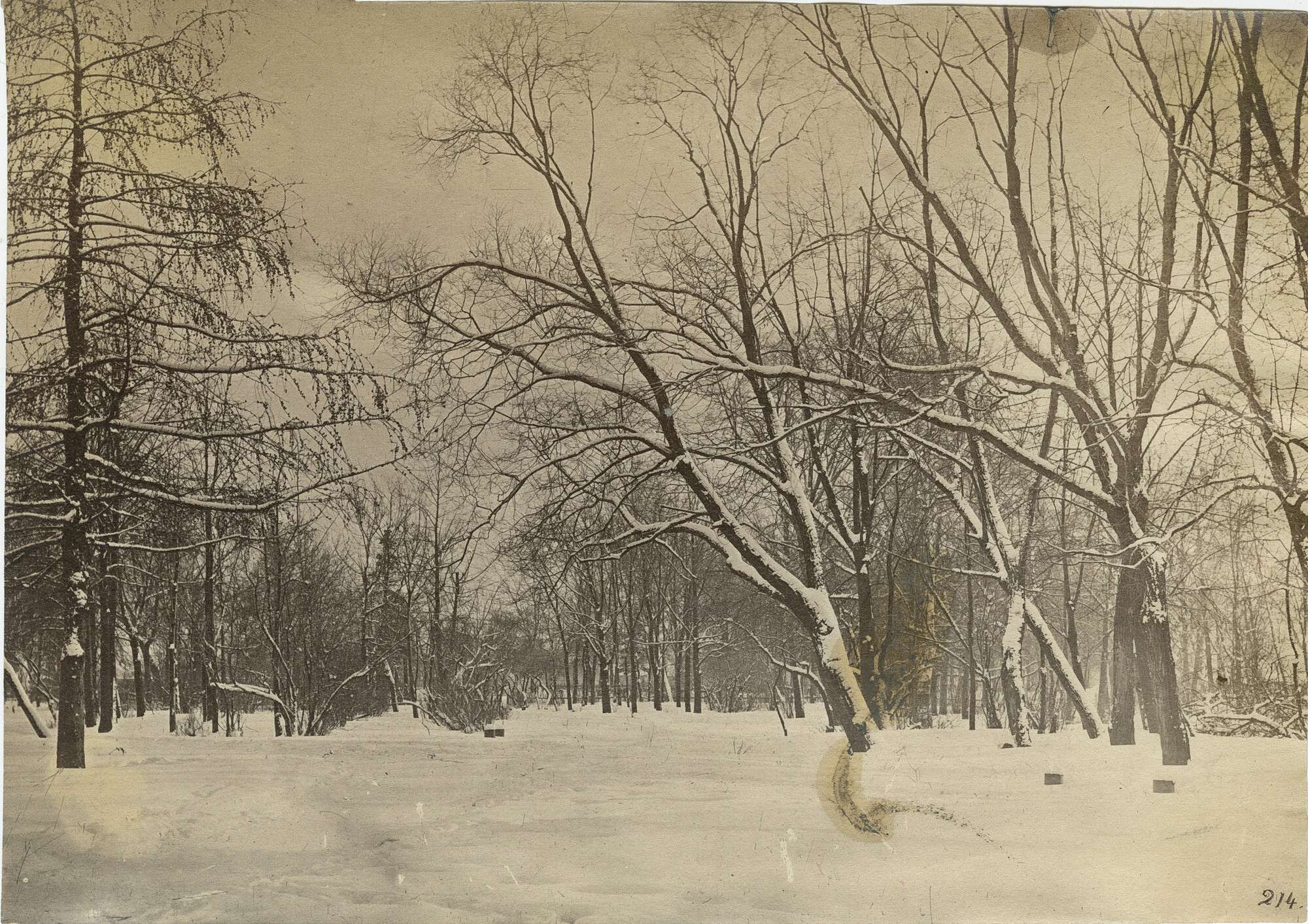 Вильям Каррик. 
 

Зимний лес 

Санкт-Петербург, 1860–1870‑е 