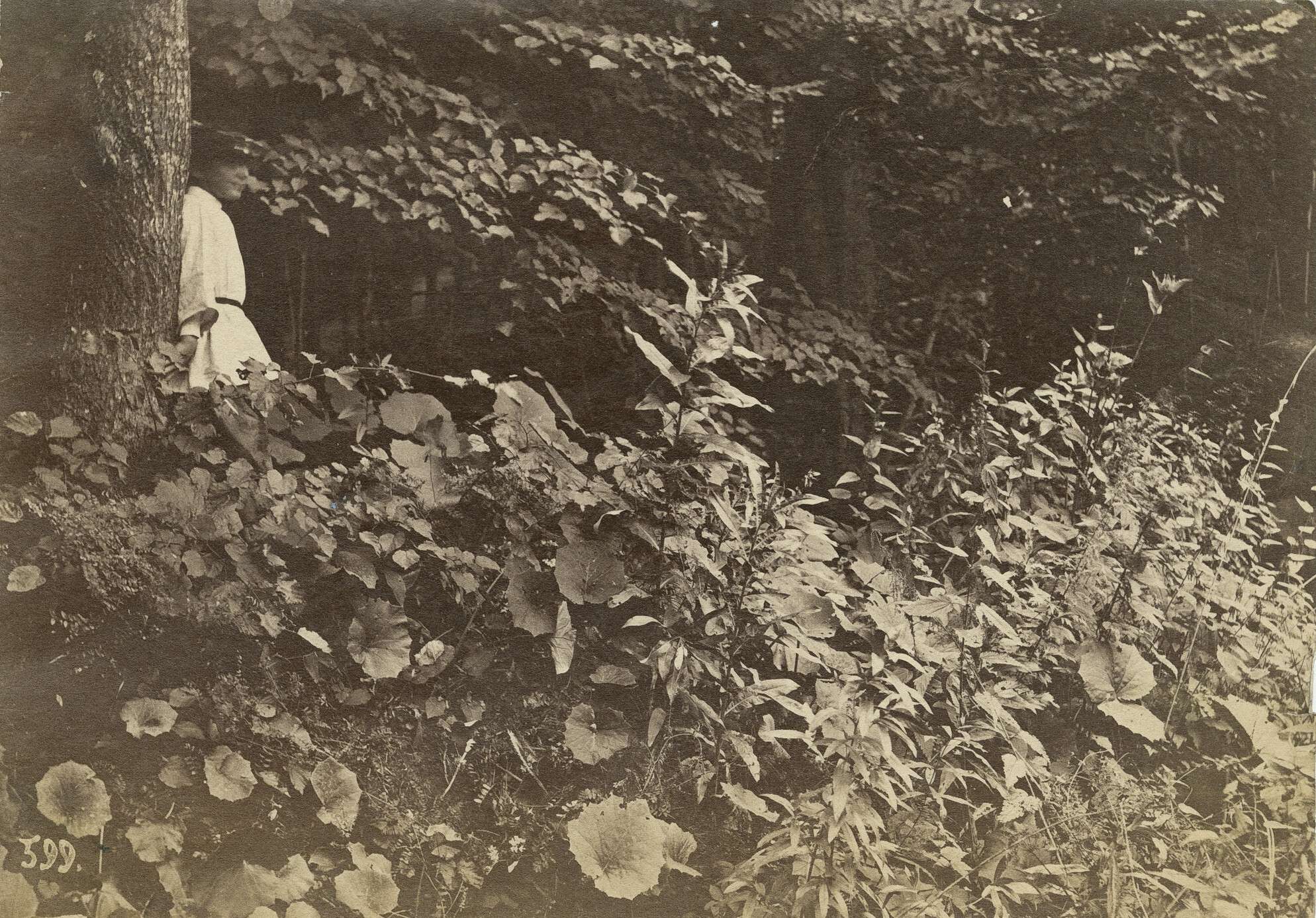 Вильям Каррик. 
 

В лесу 

Россия, 1860–1870‑е 