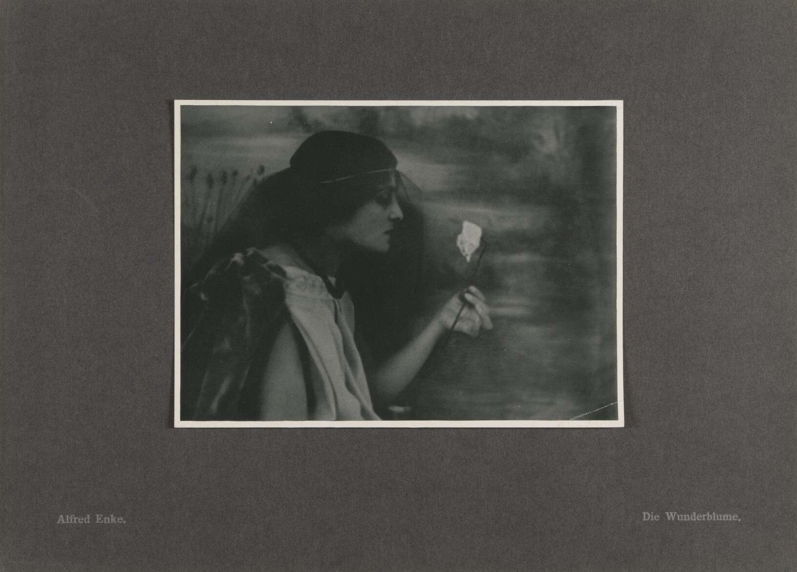 Альфред Энке. 
 

Волшебный цветок 

1902 