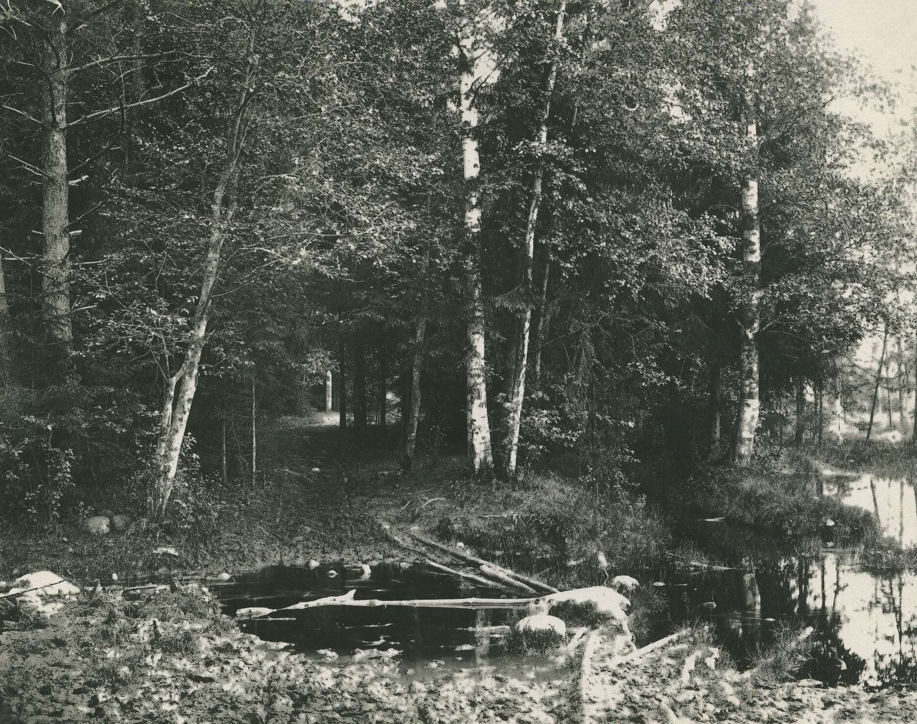 Неизвестный автор. 
 

Загородный пейзаж 

Россия, 1910‑е 