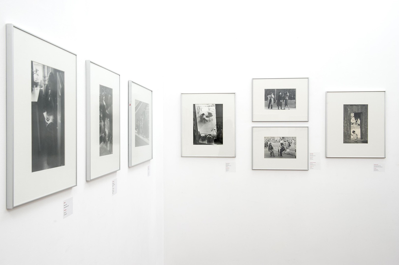 90 роз фото 90 роз фото